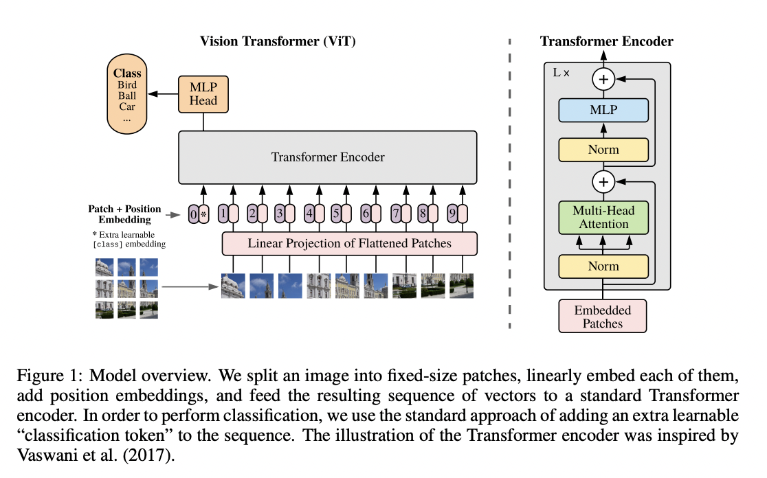 Vision Transformer (ViT) model overview
